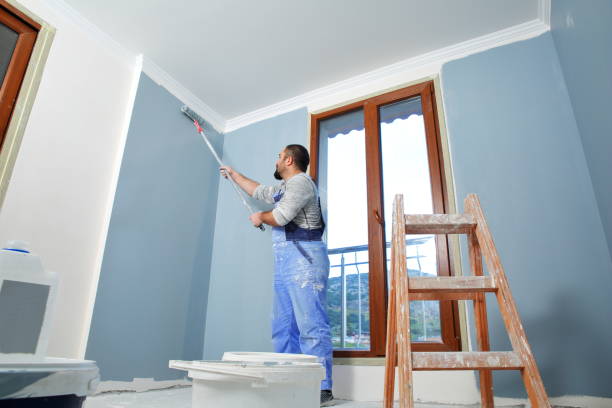 Best Drywall Crack Repair  in Douglass Hills, KY